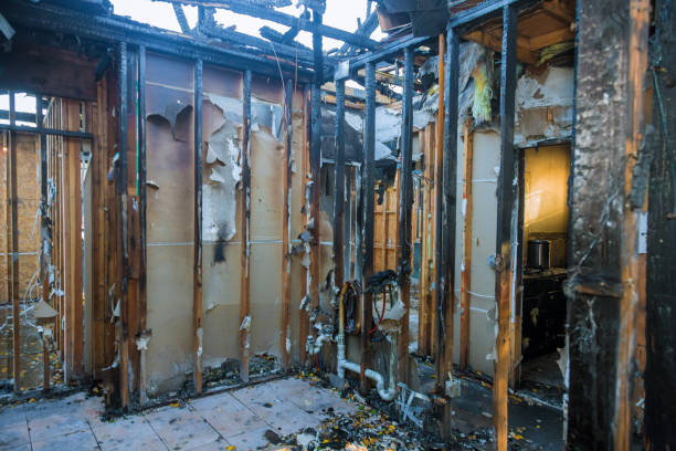 Professional Fire Damage Removal technician working in Churchville, NY